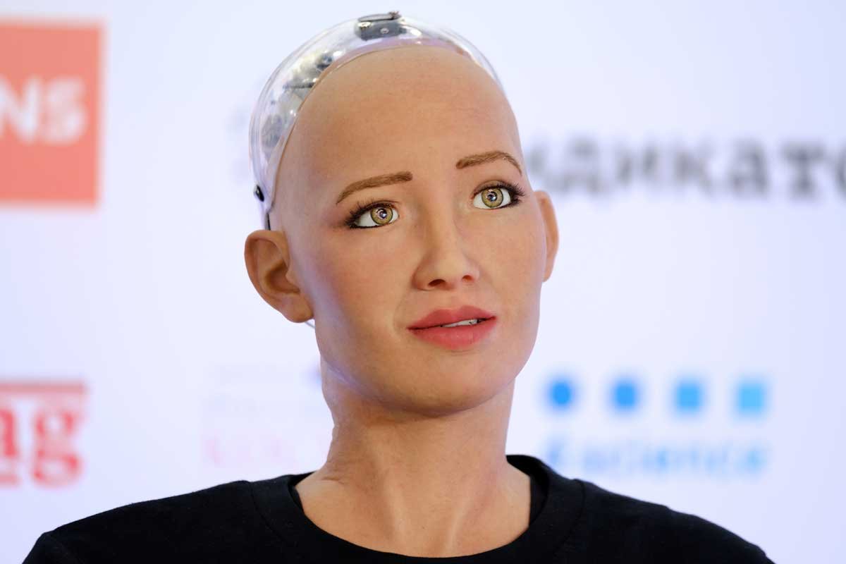 Seedling Sicily Antipoison Sophia the Robot: "I don't do sexual activities" - New World : Artificial  Intelligence